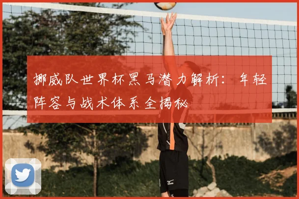 挪威队世界杯黑马潜力解析：年轻阵容与战术体系全揭秘