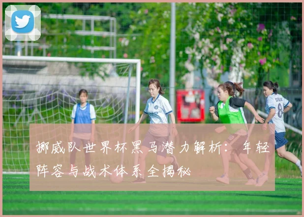 挪威队世界杯黑马潜力解析:年轻阵容与战术体系全揭秘